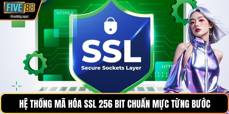Hệ thống mã hóa SSL 256 bit chuẩn mực từng bước
